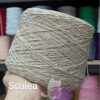 scalea