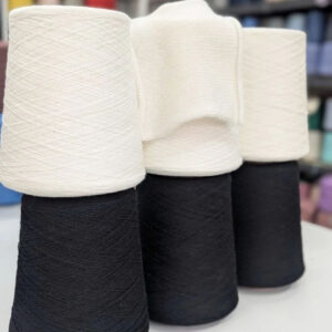 zegna baruffa bignex rws