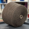castoro